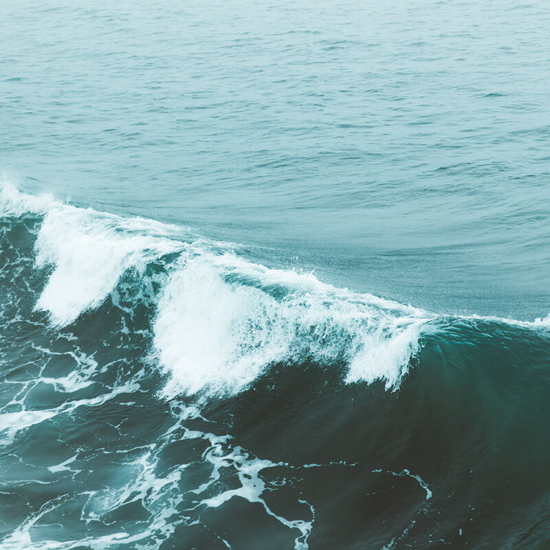 Save the Waves – Ein Beitrag zum Klimaschutz - Save the Waves – Ein Beitrag zum Klimaschutz